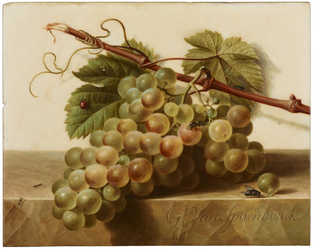 Gerard van Spaendonck (Dutch, 1746–1822), Grapes with Insects on a Marble Table Top, ca. 1791–1795, oil on white marble, 7 3/8 × 9 1/4 × 1/8 in. (18.7 × 23.5 × .3 cm). The Frick Collection, New York, Gift of Asbjorn R. Lunde, 2012, acc. no. 2012.1.01