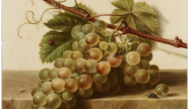 Gerard van Spaendonck (Dutch, 1746–1822), Grapes with Insects on a Marble Table Top, ca. 1791–1795, oil on white marble, 7 3/8 × 9 1/4 × 1/8 in. (18.7 × 23.5 × .3 cm). The Frick Collection, New York, Gift of Asbjorn R. Lunde, 2012, acc. no. 2012.1.01