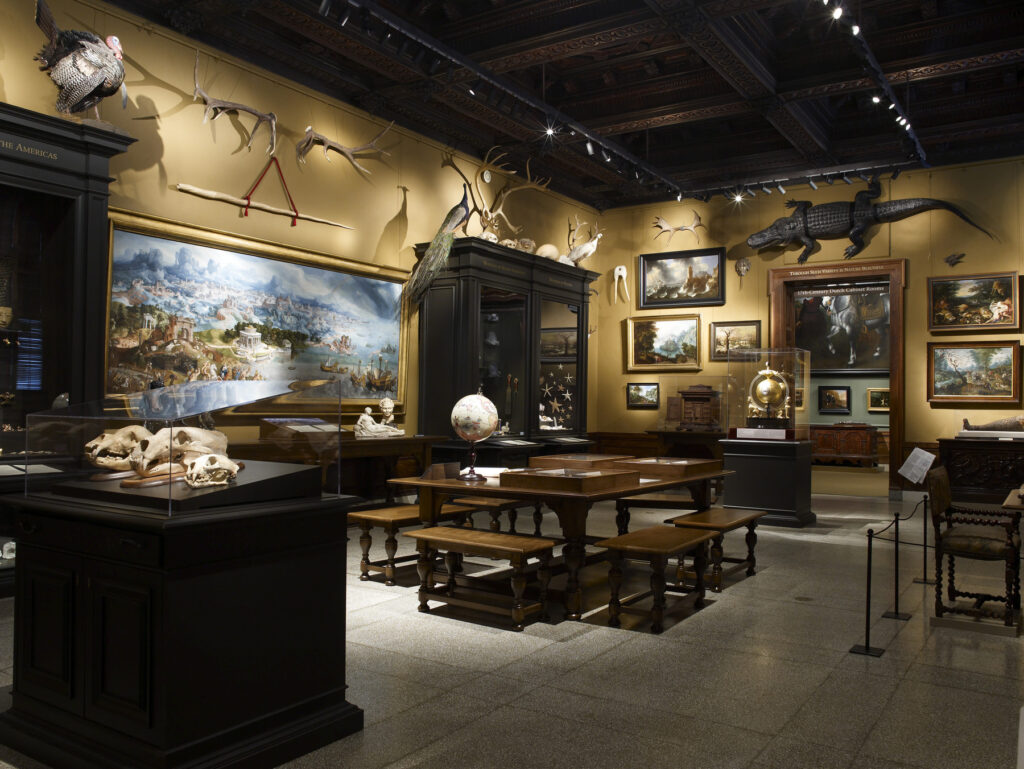 The Chamber of Wonders, the Walters Art Museum