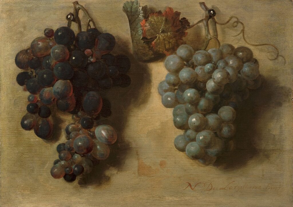 Nicolas de Largillière (French, 1656–1746), Two Bunches of Grapes, 1677, oil on panel, 9 2/3 × 13 1/2 in. (24.5 × 34.5 cm). Fondation Custodia, Paris, 1949, acc. no. 6062