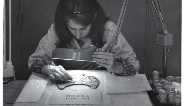 Terry Drayman-Weisser