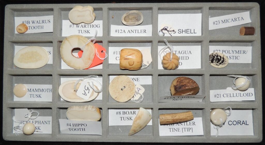 Ivory Sample Reference kits